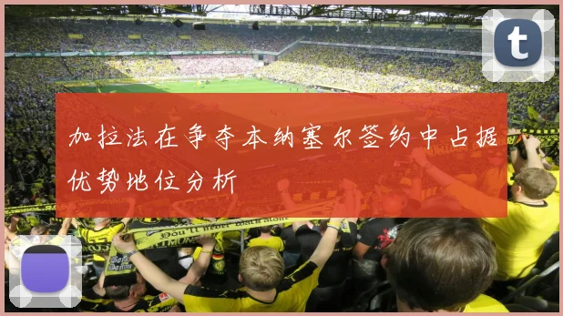加拉法在争夺本纳塞尔签约中占据优势地位分析